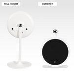 Lash Mirror