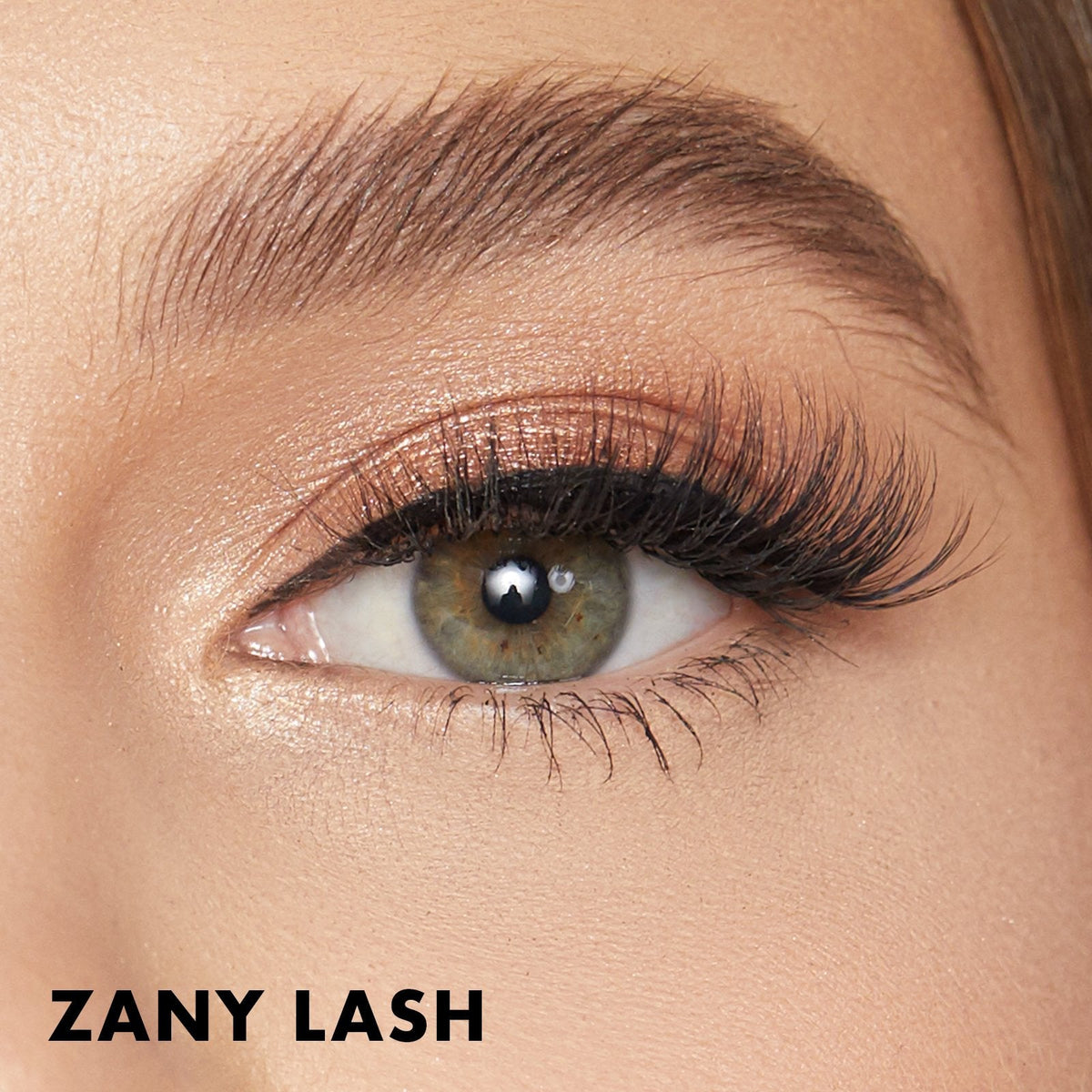 Zany Lash
