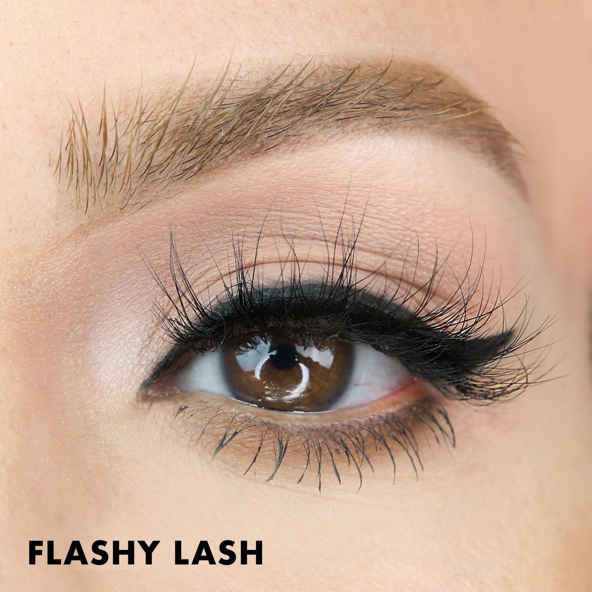 Flashy Lash